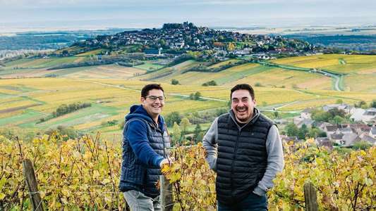 undefinedwine region
