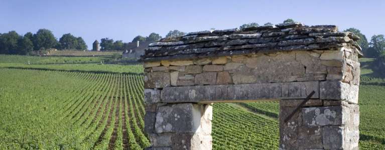 undefinedwine region