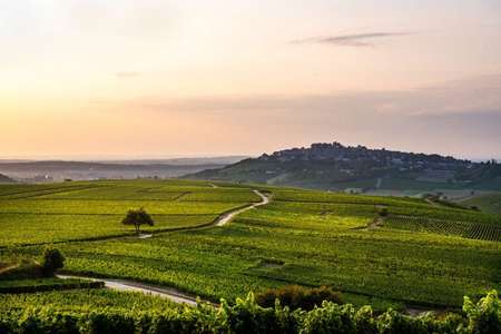 undefinedwine region