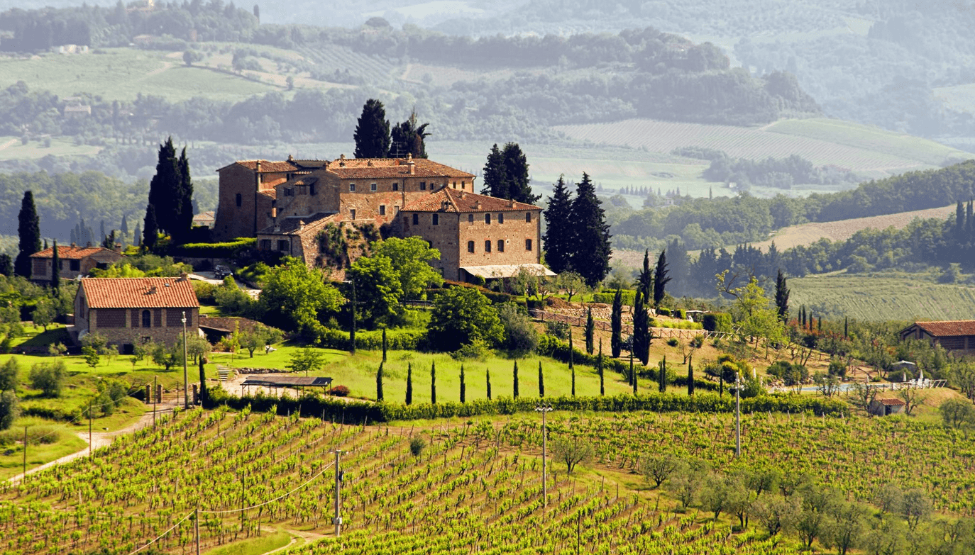 Italy Wines