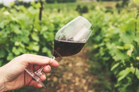 undefinedwine region
