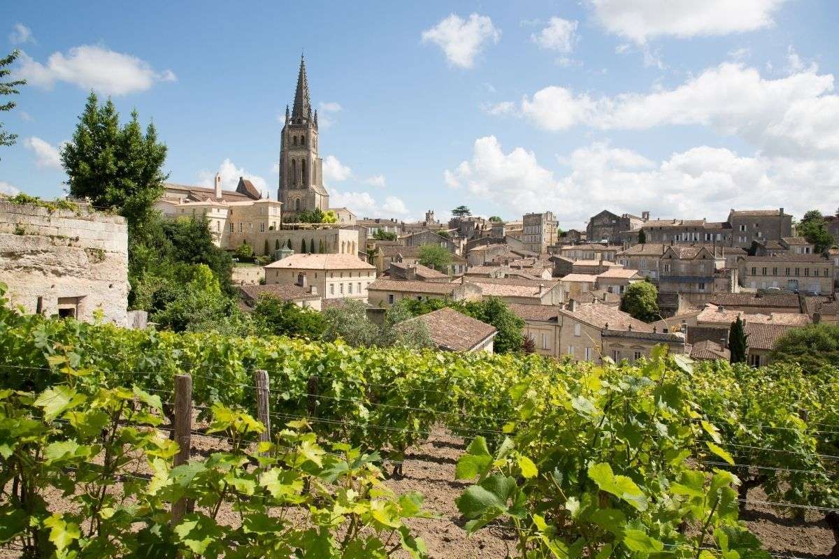 BORDEAUX: THE PEOPLE WHO ADVISE THE GREATEST Wines