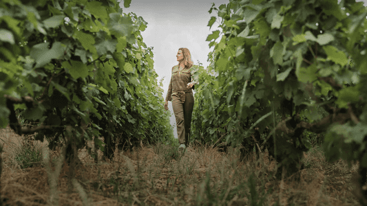 undefinedwine region