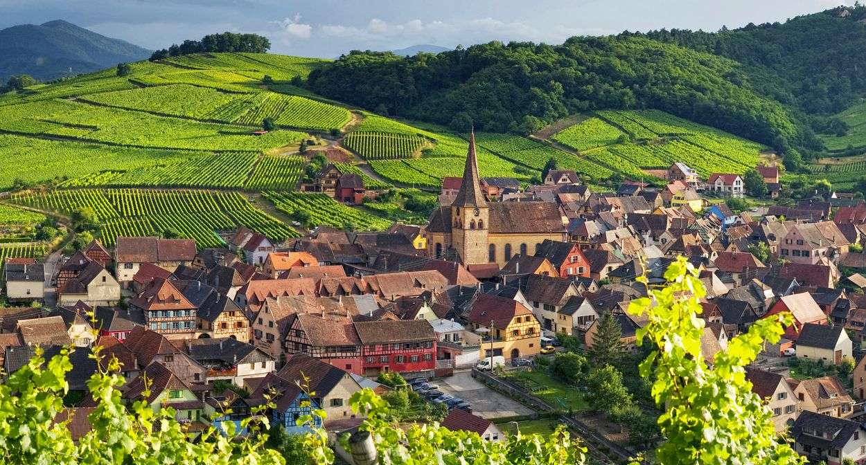 ALSACE Wines