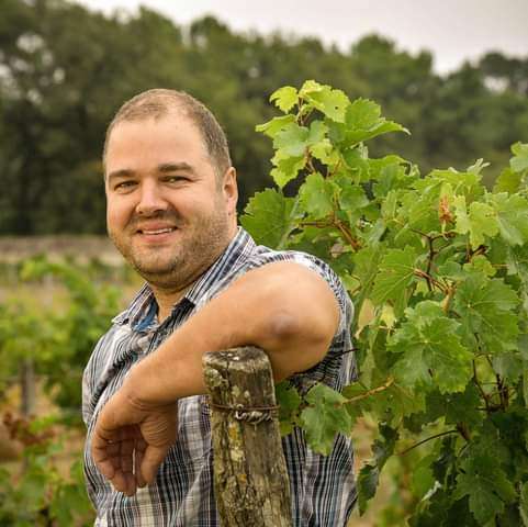 Voyage dans les vignes