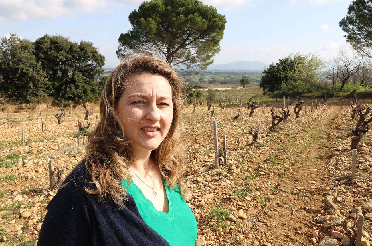 The famous fresh and sandy terroir of Chateauneuf at Font de Courtedune Wines