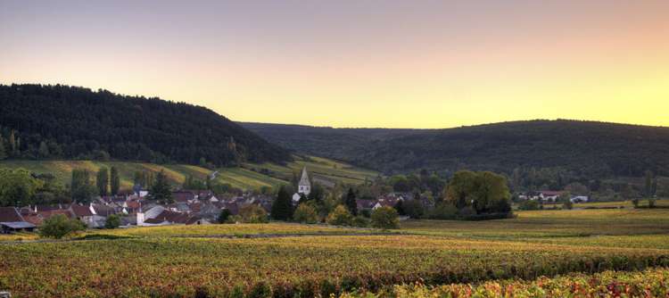 Domaine Magellan, Grenache-Syrah-Carignan, AOC Languedoc, Rouge Wines