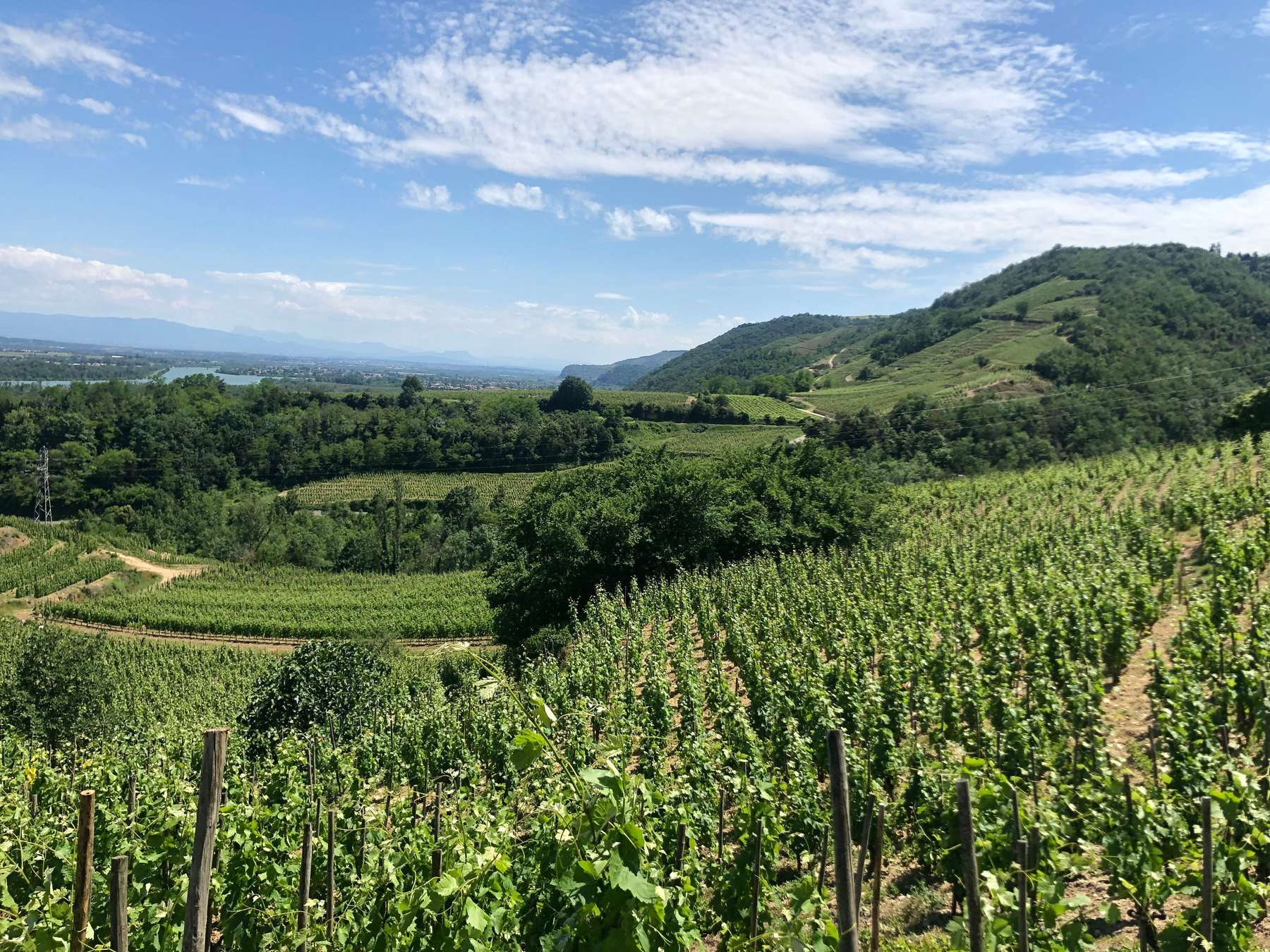 Northern Rhône, Domaine Luyton-fleury, La Source, Aoc Saint-péray, Blanc Wines